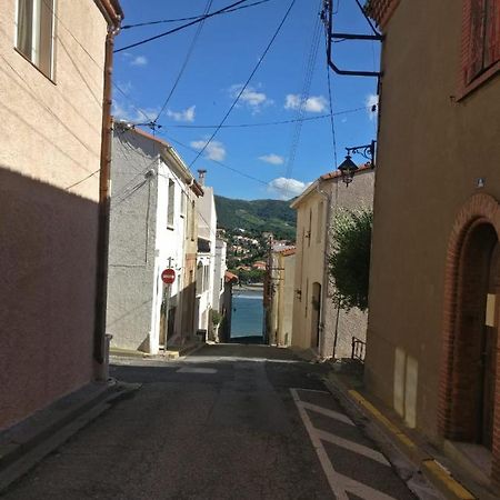 Cap D Osne - Banyuls Sur Mer - 2Mn Plage Экстерьер фото