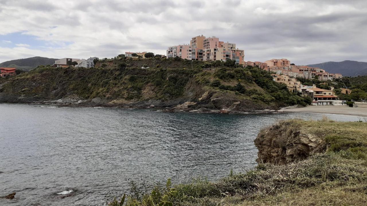 Cap D Osne - Banyuls Sur Mer - 2Mn Plage Экстерьер фото